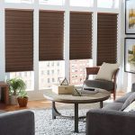 Pleated Shades