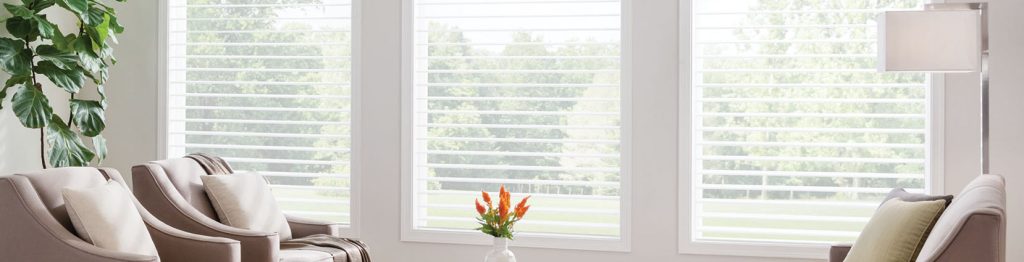 Comprehensive Guide to Window Treatments