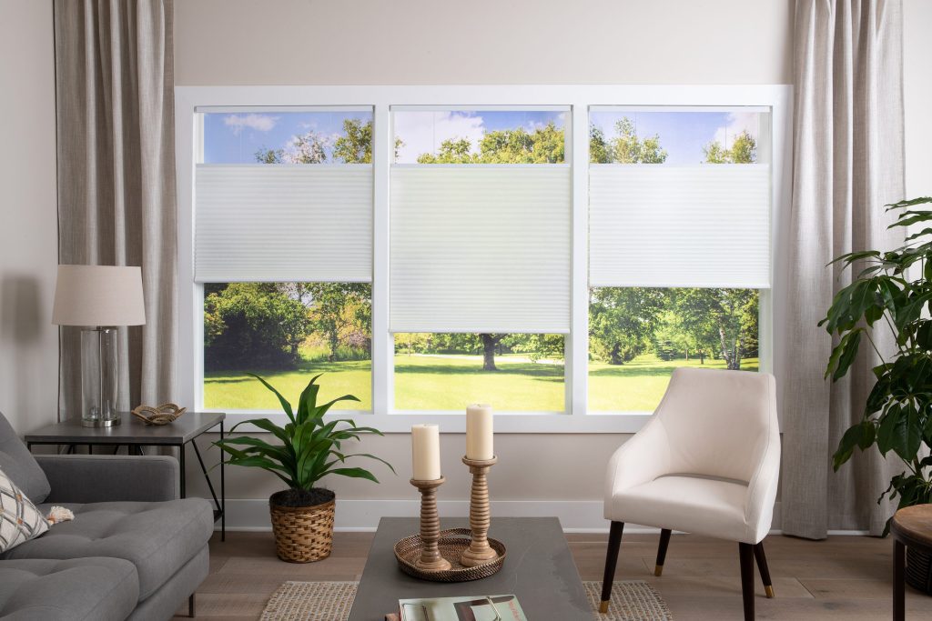 Best Window Treatments